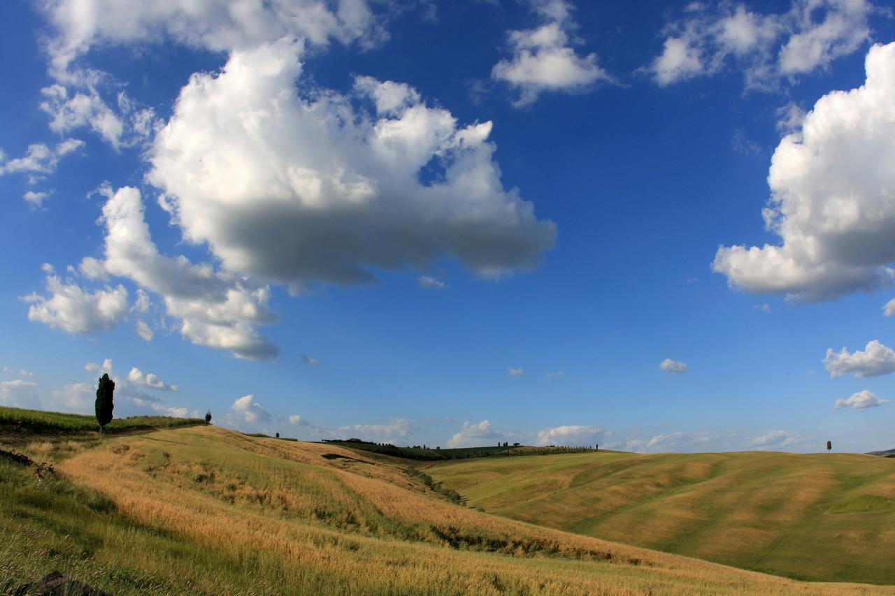 Cordella In Montalcino Wine Resort Экстерьер фото