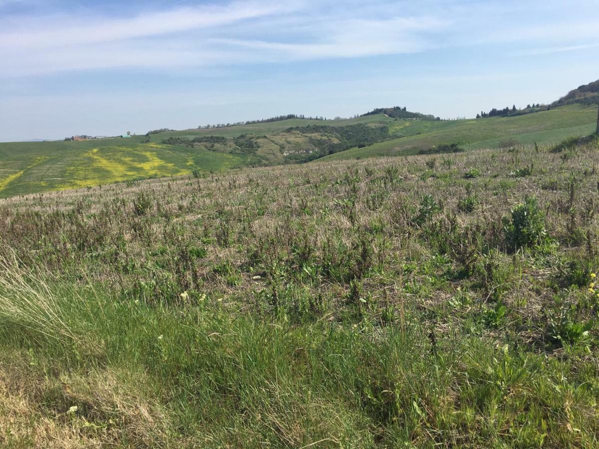 Cordella In Montalcino Wine Resort Экстерьер фото